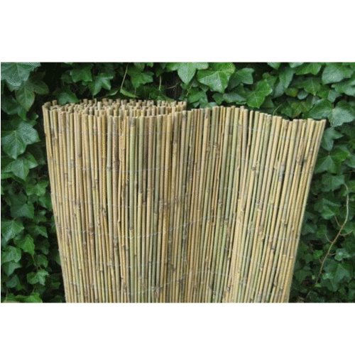 talent Detector Begrip Bamboe oriental 8-10mm dik geweven rol afm. 175x300cm | Bouwmax.nl